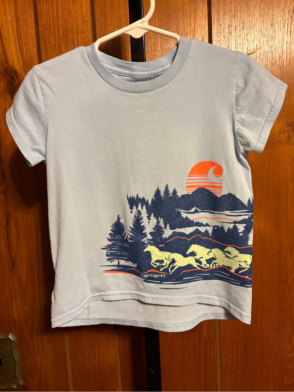 Carhartt Light Blue Kids Short Sleeve Tee with Mountain, Horse & Sunset Graphic